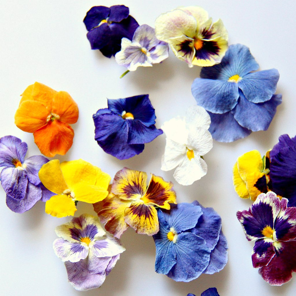 Edible Flower Freshly Preserved Freeze-Dried (0.2 oz) | Edible Pansy |Dried Edible Flowers | Edible Flowers for Cakes | Edible Flowers for Cocktails