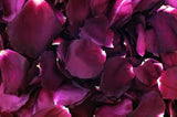 Freeze Dried Edible Rose Petals